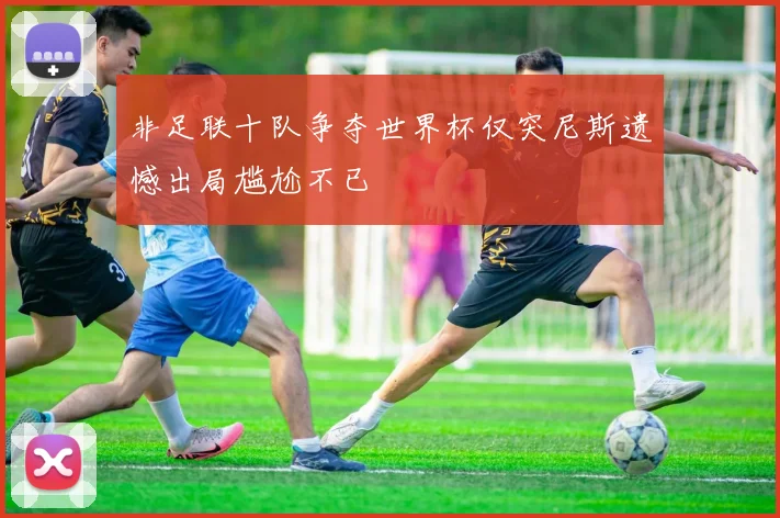 非足联十队争夺世界杯仅突尼斯遗憾出局尴尬不已